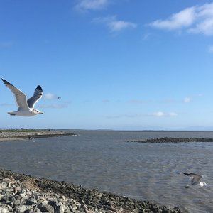 Meet your Posher, Asia